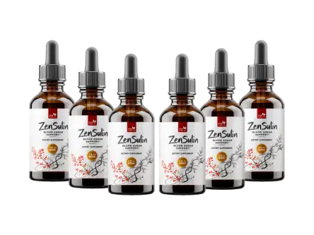 Zensulin 6-Bottle Pack — Botanical Blood Sugar Support Best Value